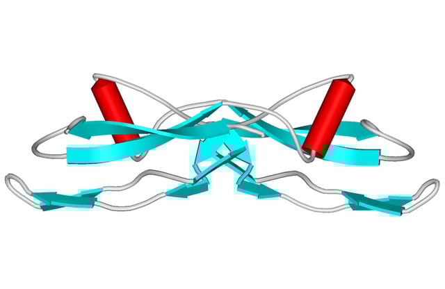 Several chemical compounds, such as GDNF (chemical structure pictured) have been proposed as neuroprotectors in PD, but their effectiveness has not been proven.