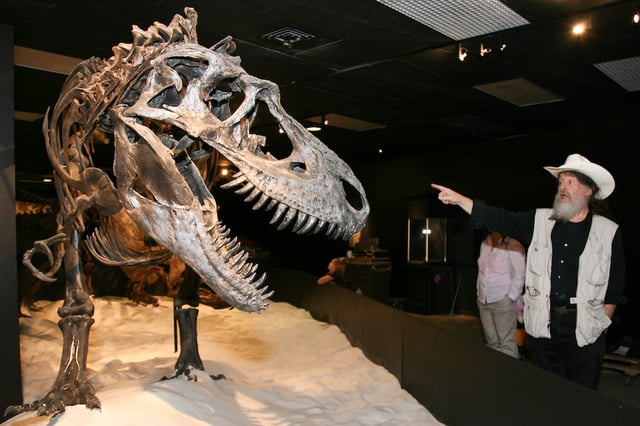 Paleontologist Robert T. Bakker with mounted skeleton of a tyrannosaurid (Gorgosaurus libratus