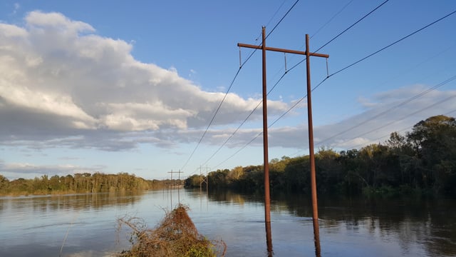 The Tar River overflowing its banks near Pitt–Greenville Airport on October 12; it later crested at 24.5 feet (7.5 m).