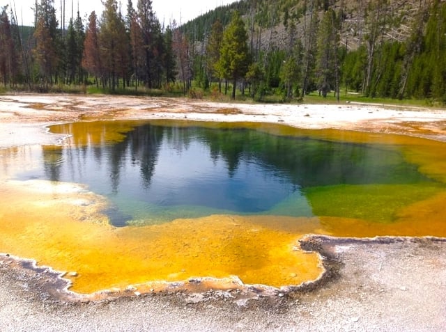 Archaea that grow in the hot water of the Morning Glory Hot Spring in Yellowstone National Park produce a bright colour