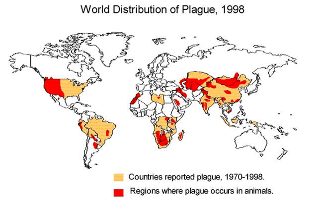 Worldwide distribution of plague-infected animals, 1998