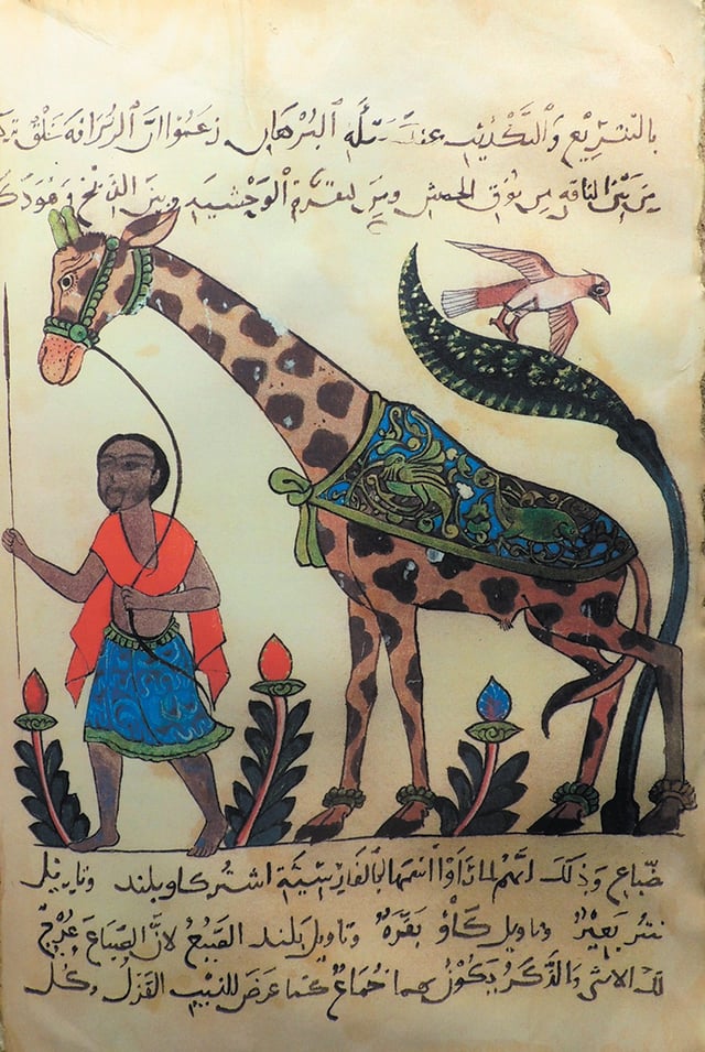 A giraffe from the Kitāb al-Ḥayawān (Book of the Animals), an important scientific treatise by the 9th century Arab writer Al-Jahiz.