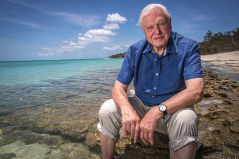 David Attenborough was elected a Fellow of the Royal Society in 1983 under former statute 12