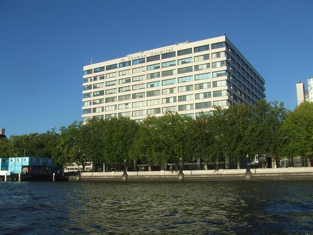 A view of St Thomas' Hospital at St Thomas' Campus, from the Thames