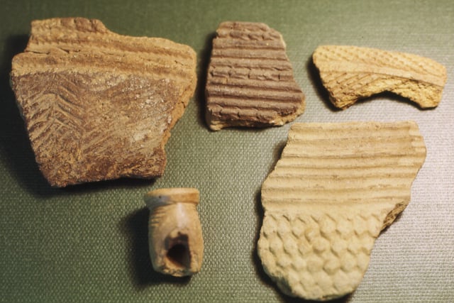Fragments of prehistoric pottery from Kamabai Rock Shelter