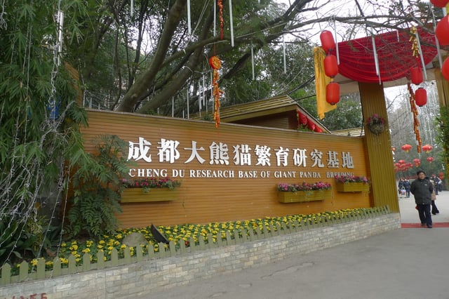 Sichuan Giant Panda Sanctuaries