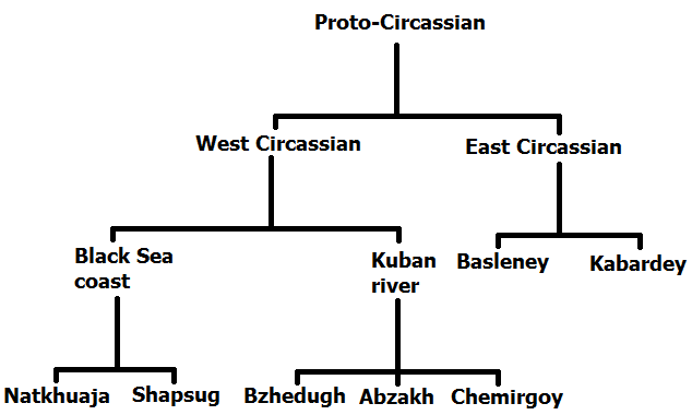 The Circassian dialects and sub-dialects development