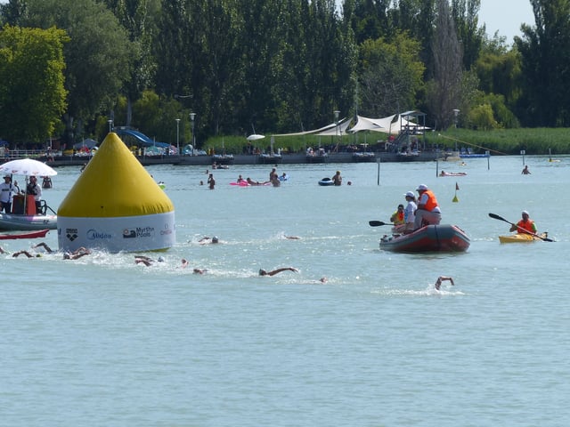 Swimmers must go around the yellow marked to count as a "lap"