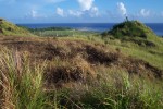 Guam's grassland