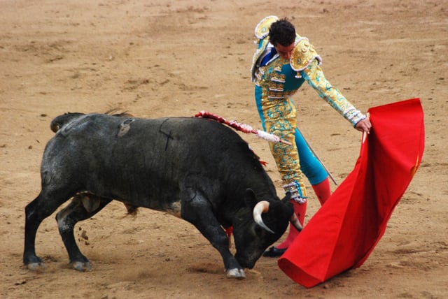 Bulls, like dogs and many other animals, have dichromacy, which means they cannot distinguish the color red. They charge the matador's cape because of its motion, not its color.