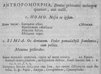 Detail from the sixth edition of Systema Naturae (1748) describing Ant[h]ropomorpha with a division between Homo and Simia