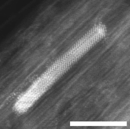 Electron micrograph of a Ni nanocrystal inside a single wall carbon nanotube; scale bar 5 nm.
