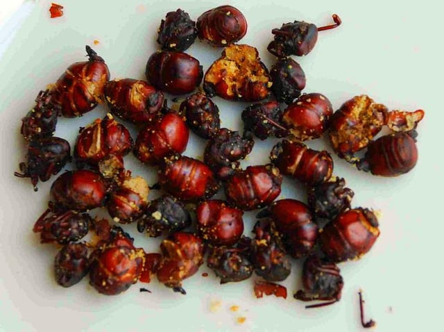 Roasted ants in Colombia