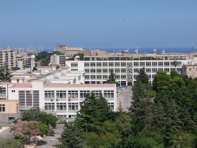 The University of Palermo