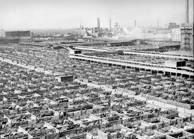 Union Stock Yards, 1941