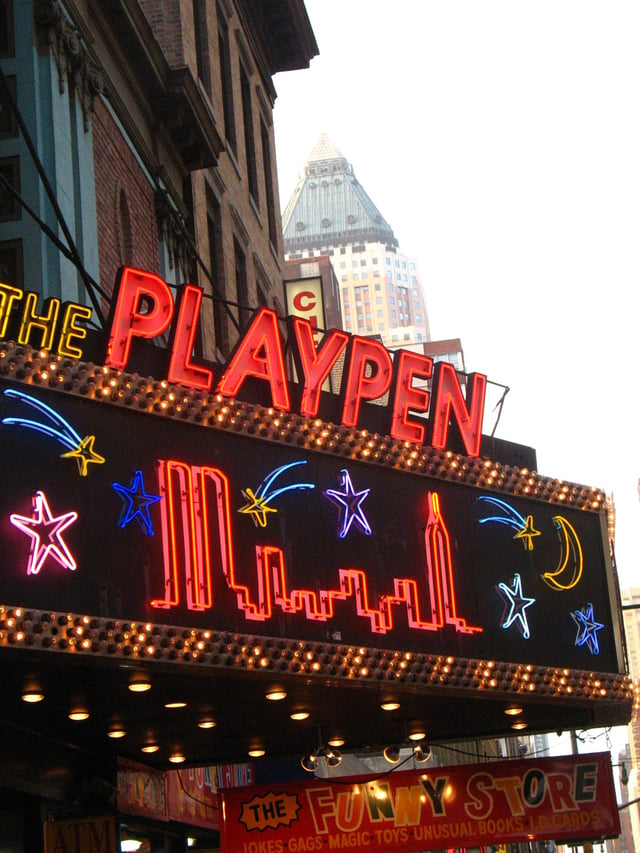 Eighth Avenue was once lined with porn stores and theaters. The stores have been mostly gone since the late 1990s, but this particular store, which was highlighted in the 2003 film Phone Booth, remained until 2007.