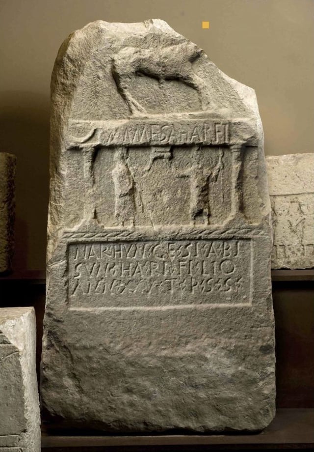 Inscription with Basque-like lexical forms identified as "UME ZAHAR", Lerga (Navarre)