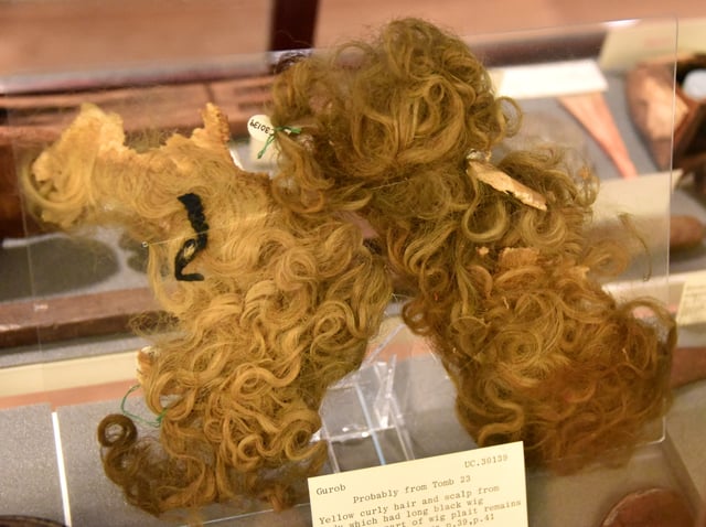Yellow curly hair and scalp from body which had long black wig over hair.