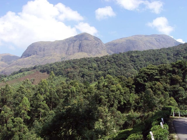 Anamudi peak, on the right, is the highest point of the Periyar basin at 2,695 m (8,842 ft).