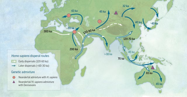 Overview map of the peopling of the world by anatomically modern humans (numbers indicate dates in thousands of years ago [ka])