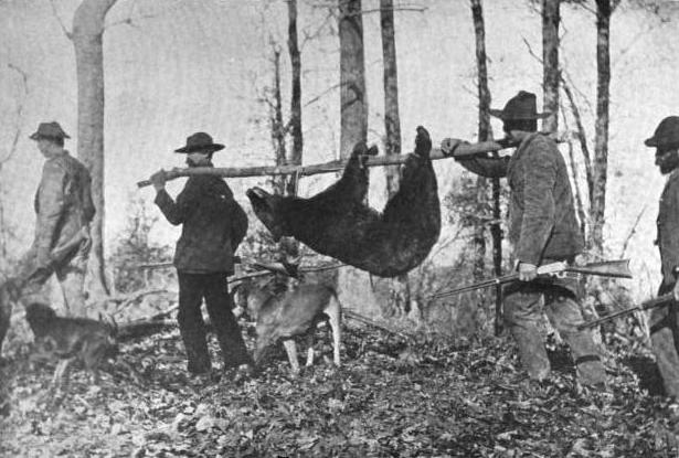 Hunters with an American black bear in the Great Smoky Mountains
