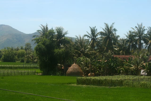 Farm in Bình Định