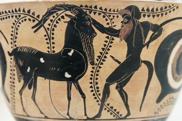 The goat on the left has a short goat tail, but the Greek satyr on the right has a long horse tail, not a goat tail (Attic ceramic, 520 BC).
