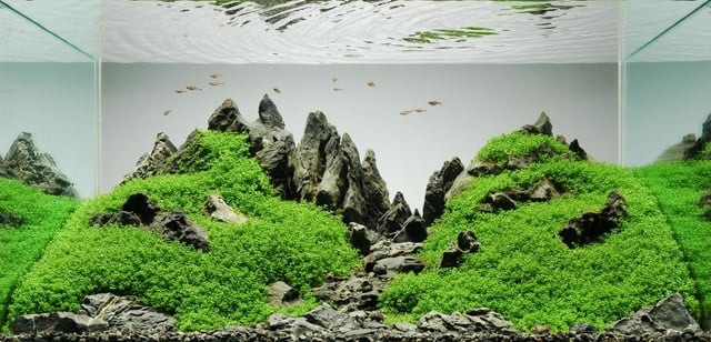 A nature style aquascape, suggesting mountains