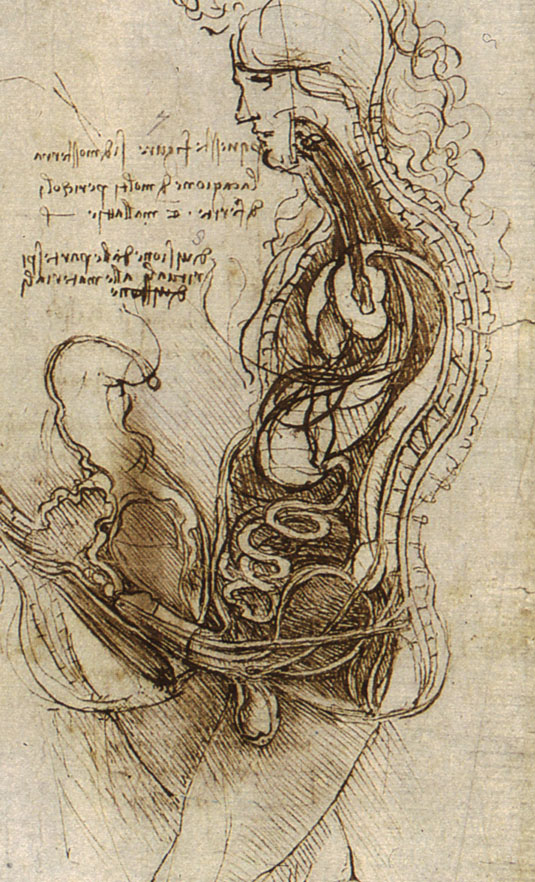 "Coition of a Hemisected Man and Woman" (c. 1492), an interpretation of what happens inside the body during coitus, by Leonardo da Vinci