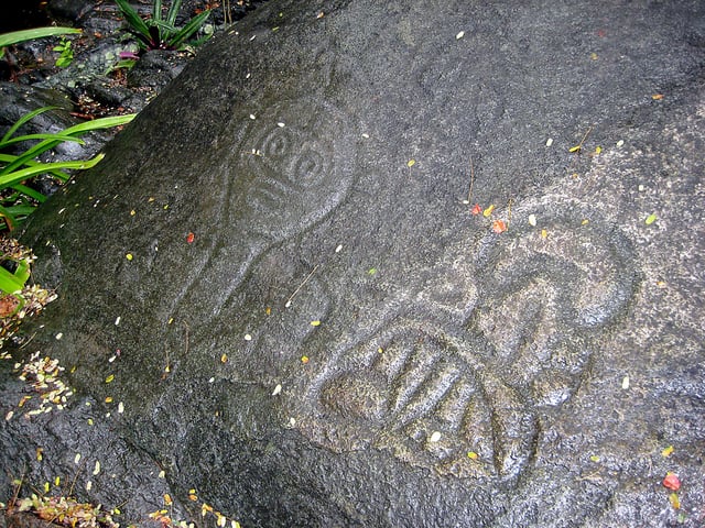 Ancient petroglyphs in the Virgin Islands National Park