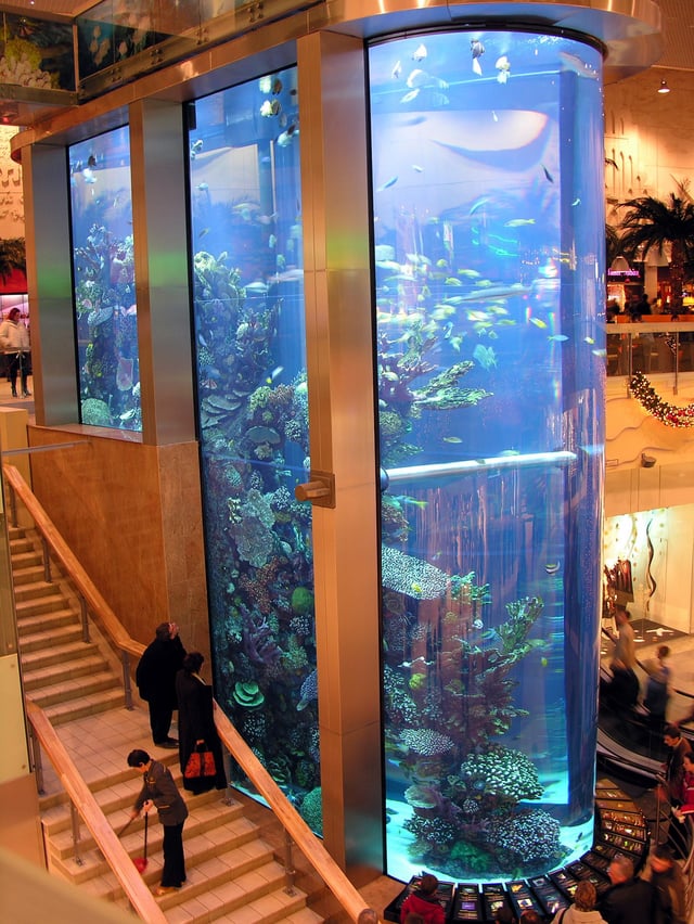 Aquarium in shopping centre Mega