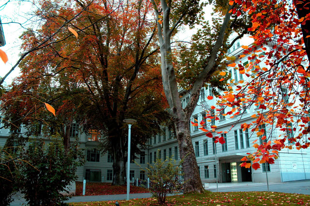 The Medical University of Vienna