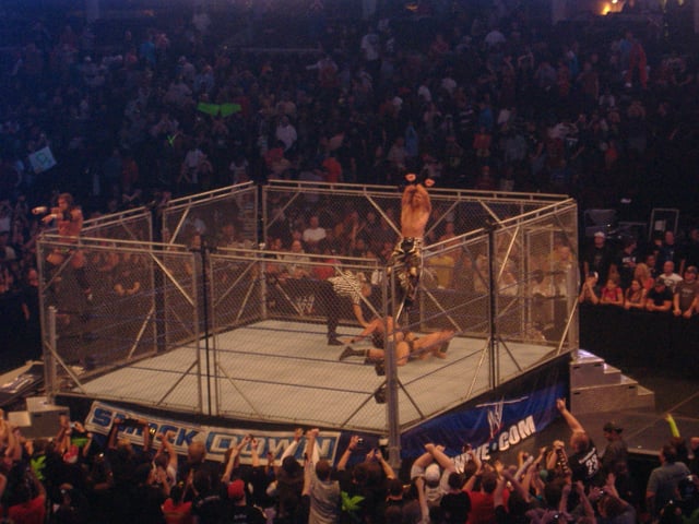 DX after a Steel Cage match against The Legacy