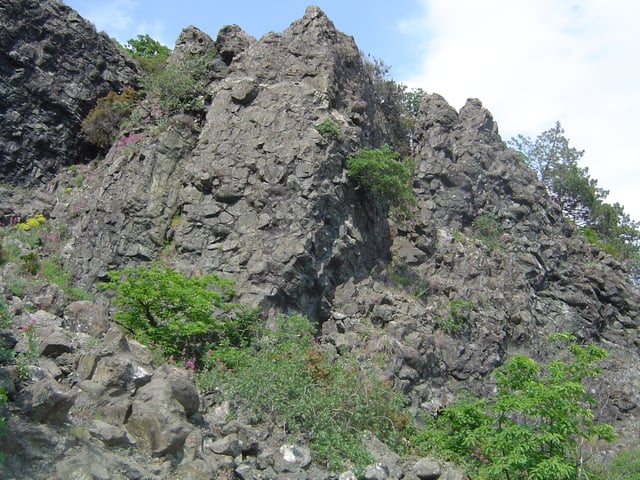 A pillow lava from an ophiolite sequence, Northern Apennines, Italy.