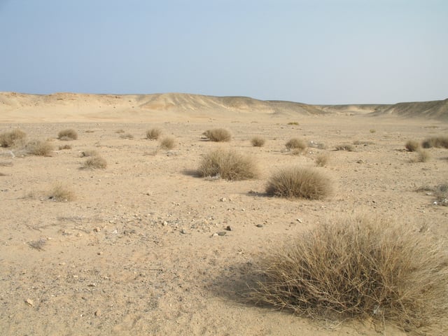 Desert scene in Egypt