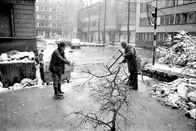 Besieged residents collect firewood in the bitter winter of 1992 during the Siege of Sarajevo.