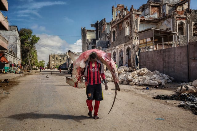 A man carries a huge hammerhead shark through the streets of Mogadishu, Somalia.