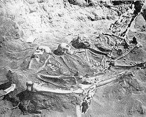 Skeletons unearthed at Lenape burial ground in Staten Island, the largest pre-European burial ground in New York City