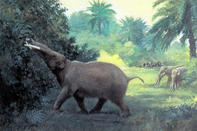Gomphotheres (reconstructed) were hunted in Sonora by ancient Clovis hunters.