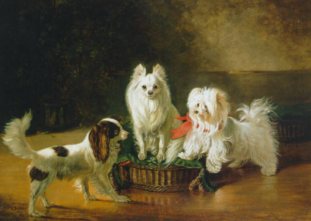 A toy Spaniel, a dwarf Spitz and a Maltese next to a basket (1855) by Johann Friedrich Wilhelm Wegener.