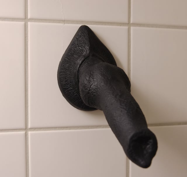 Several companies (e.g., Bad Dragon) sell dildos in the shape of animal penises, both realistic and fantastical. This one is based on a wolf's penis.