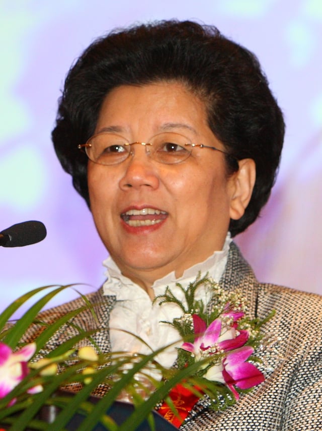 Chen Zhili, former President of the All-China Women's Federation, in 2009.