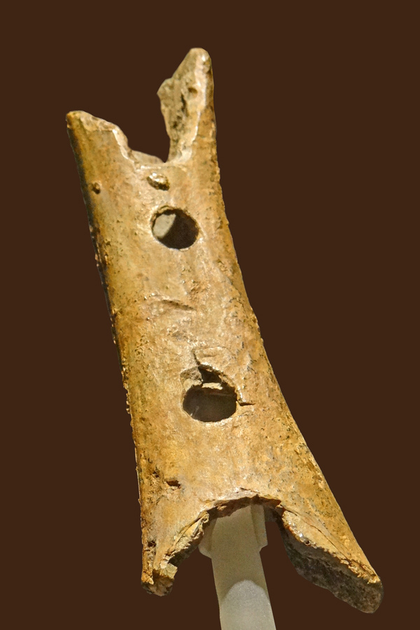A pierced cave bear bone, possibly a flute, from Divje Babe