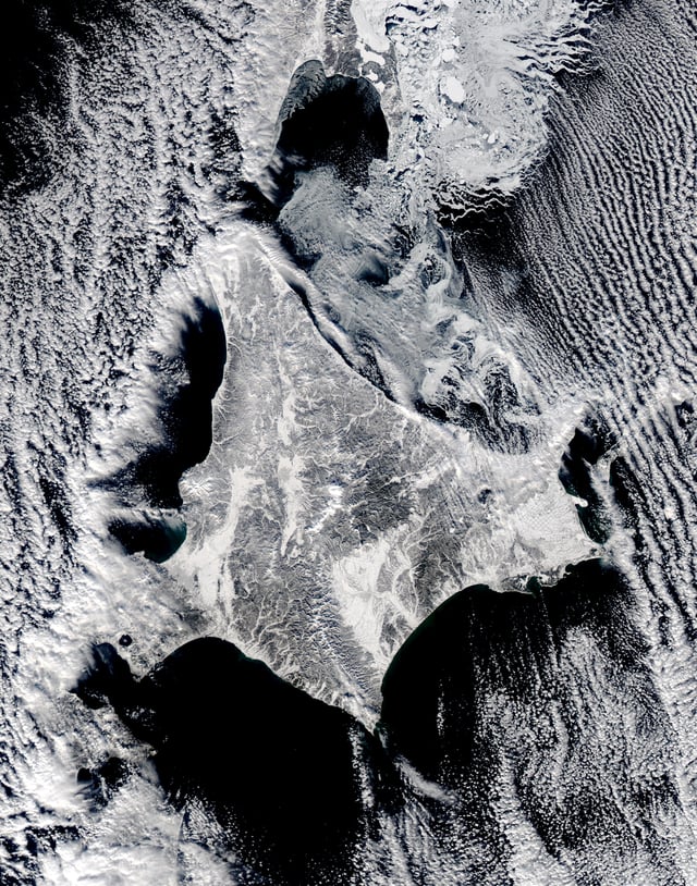 Satellite image of Hokkaido in winter