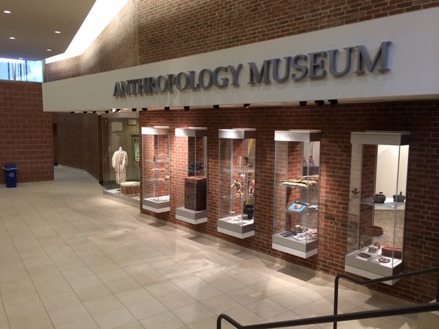 NIU Anthropology Museum in Cole Hall (display cases, sometimes referred to as cabinets)