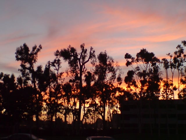 Wilson Park, in Torrance at sunset.