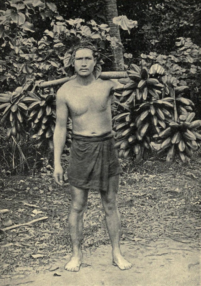 Pre-1906 photograph titled "Hillsman carrying feis to Papeete" (Tahiti)