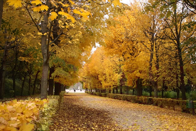 Schönbrunn Gardens in autumn