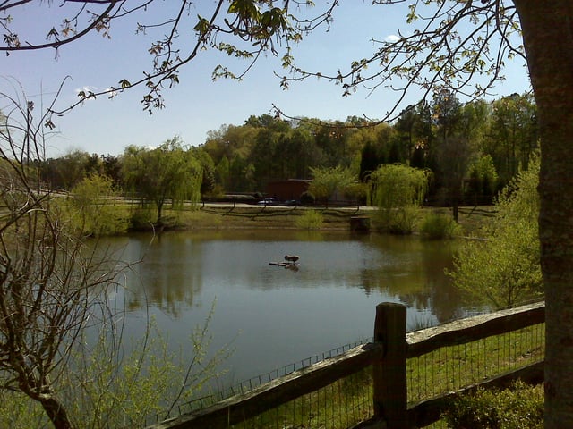 Pond at East Roswell Park