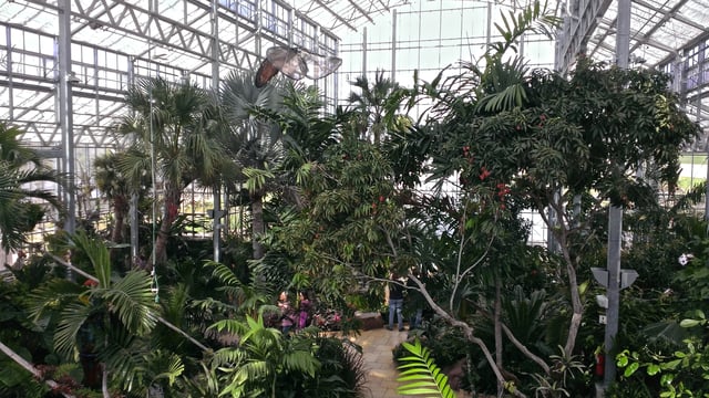 The interior of the $13.5 million Nicholas Conservatory